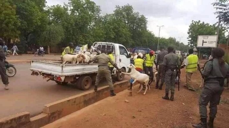 Burkina Faso: la vente d’animaux et de volailles dans les rues de Ouagadougou interdite