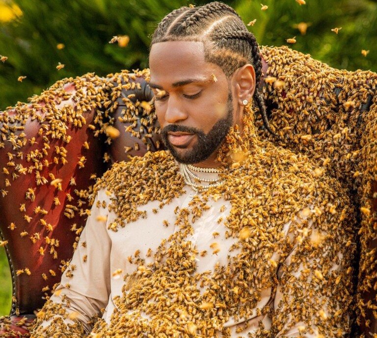 Ã‰tats-Unis: le rappeur Big Sean pose avec un essaim de 65 000 abeilles (VidÃ©o)