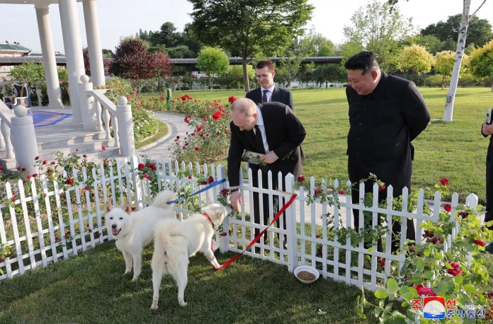 Le dirigeant nord-corÃ©en Kim offre une paire de chiens Ã  Poutine