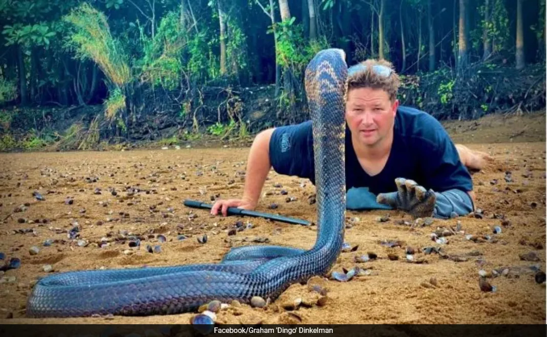 Le cÃ©lÃ¨bre dresseur de serpents sud-africain, Graham Dinkelman